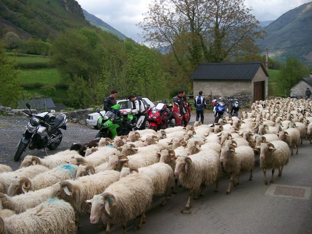 penitentesmayo2009157e